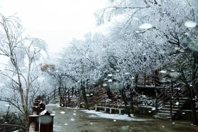 遇见了雪，然后我迷失在了老君山（遇见雪的句子）