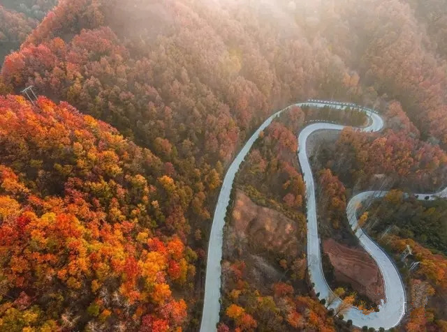 好景在路上!洛阳初冬绝美乡村公路!(洛阳秋景最美的公路) 好景在路上!洛阳初冬绝美乡村公路!(洛阳秋景最美的公路)