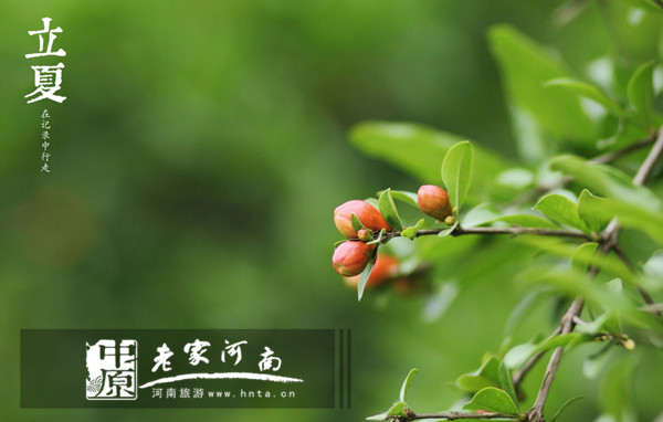 立夏时节，一起去南太行“静静”（南太行山什么时候去最好）