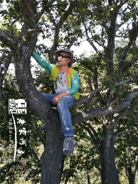 五朵山美不美?中国第一飞人告诉你!(五朵山2021免门票吗) 五朵山美不美?中国第一飞人告诉你!(五朵山2021免门票吗)
