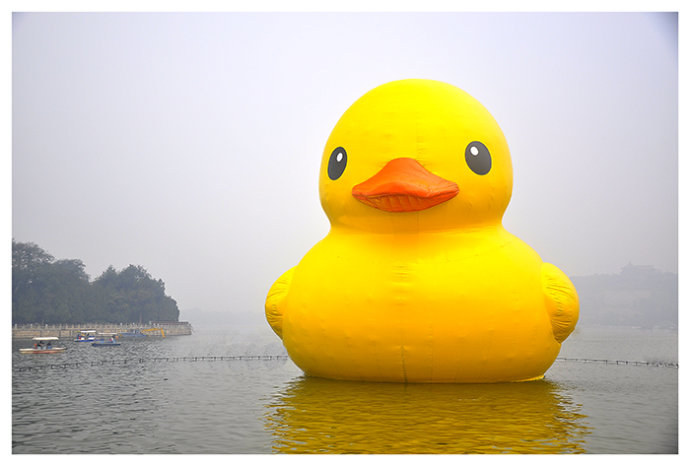 ѼҪ
