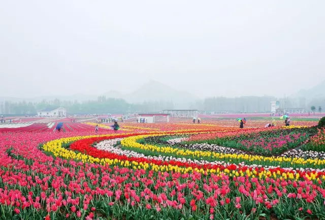 河南春日绝美踏青地（河南春游）