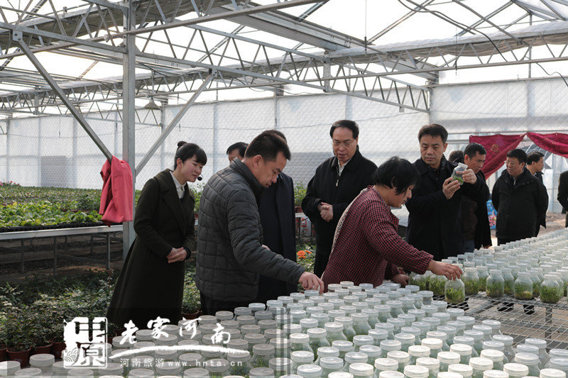 郑红初以花木改善生态创新旅游品牌