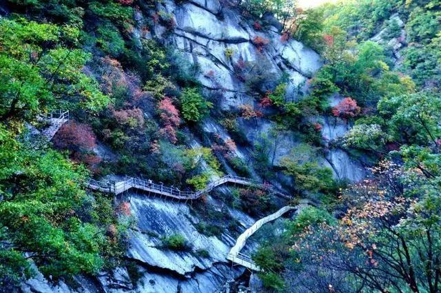 活动地点:洛阳木札岭景区(九沟游览区,官帽峰游览区