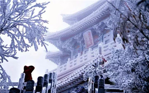 洛阳2019绝佳旅行时间表出炉，承包你的四季！（洛阳暑期旅游攻略）