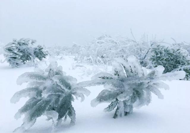 冰雪奇缘王屋山：灵动飘逸，犹如仙境！