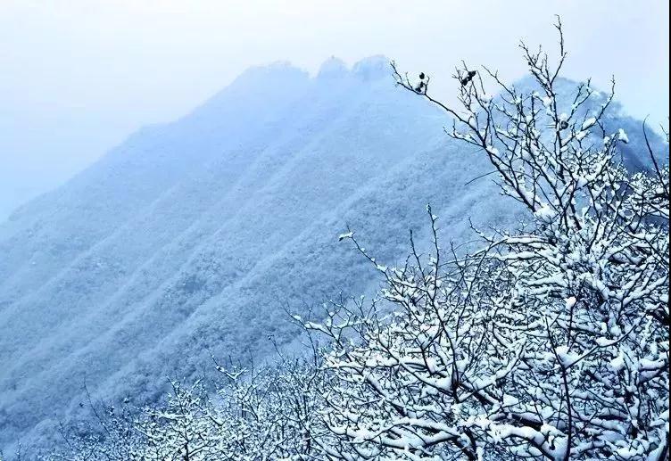 冬游青天河，邂逅浪漫