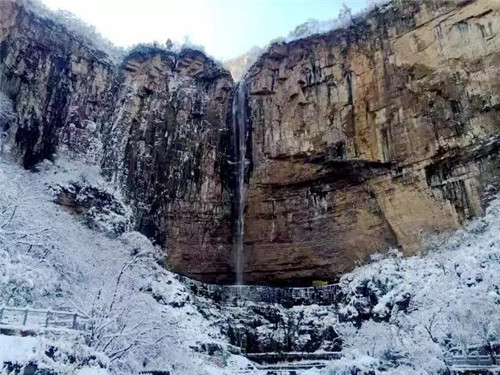 撩人的“冬美人”，肆意了南太行的风花雪月