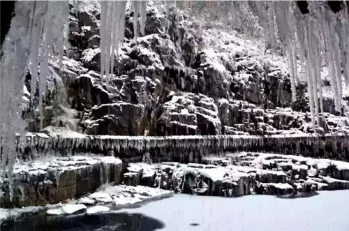 撩人的“冬美人”，肆意了南太行的风花雪月