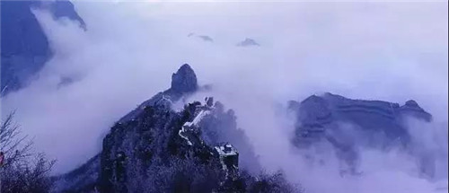 撩人的“冬美人”，肆意了南太行的风花雪月