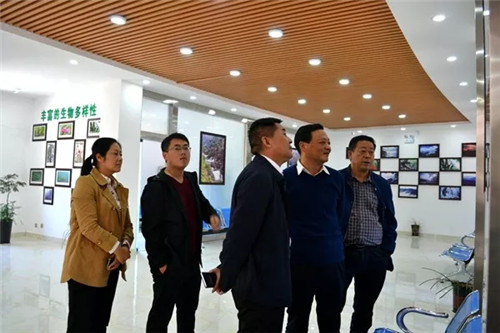内乡:全力冲刺5A景区,叫响旅游品牌(内乡风景区有哪些) 内乡:全力冲刺5A景区,叫响旅游品牌(内乡风景区有哪些)