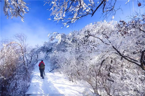 用一场旅行告别2018，就去老君山！