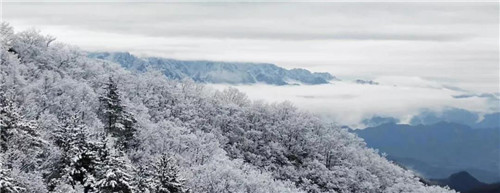 海拔1600米！洛阳白云山滑雪场12月15日银装迎宾