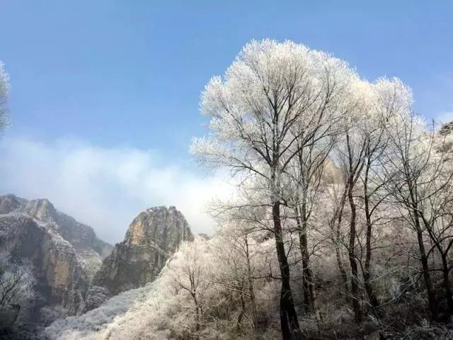 新乡南太行：雾凇有奇景，天然去雕饰