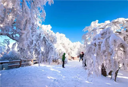 观雾凇，赏雪景，黛眉山邀您赴一场冰雪盛会