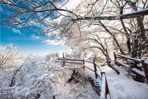 观雾凇，赏雪景，黛眉山邀您赴一场冰雪盛会