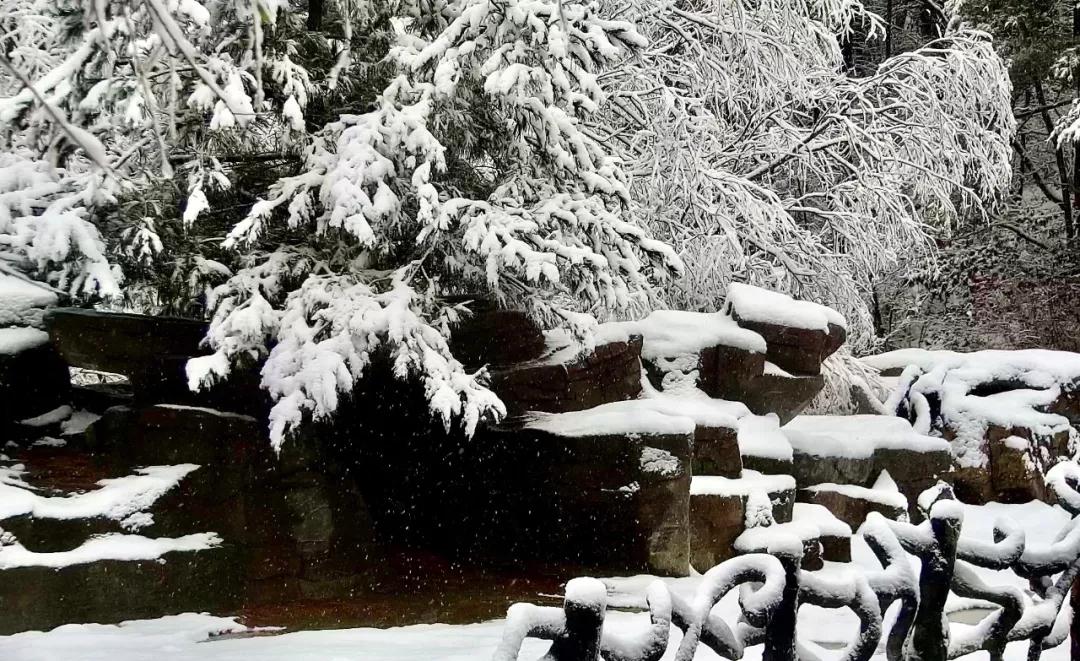 洛阳白云山：风一更，雪一更，云巅飞雪似琼楼