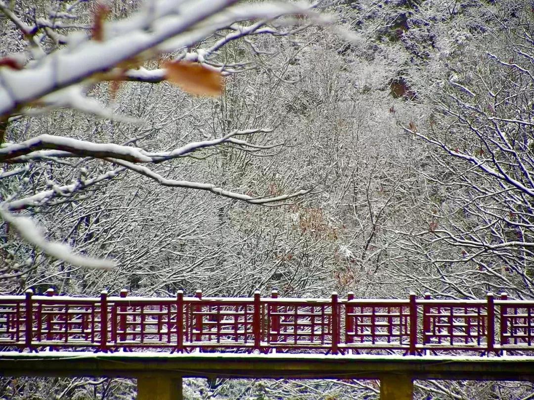 洛阳白云山：风一更，雪一更，云巅飞雪似琼楼