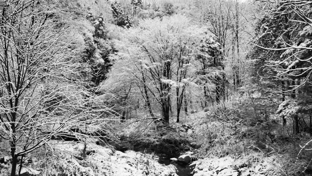 洛阳白云山：风一更，雪一更，云巅飞雪似琼楼