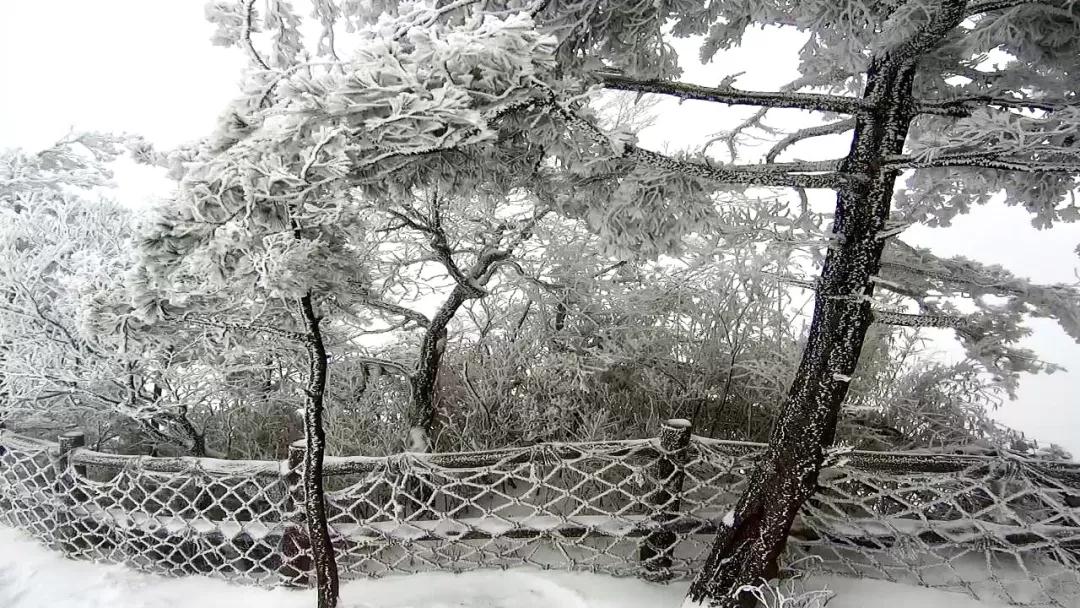 洛阳白云山：风一更，雪一更，云巅飞雪似琼楼