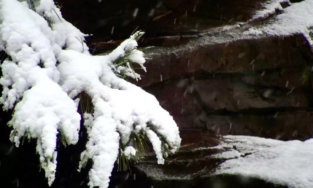 洛阳白云山：风一更，雪一更，云巅飞雪似琼楼