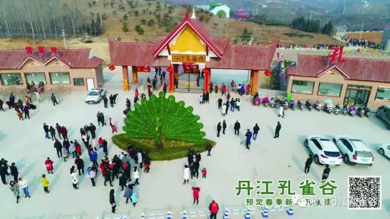 免费三天!孔雀谷喊你六一看孔雀(孔雀谷风景区) 免费三天!孔雀谷喊你六一看孔雀(孔雀谷风景区)