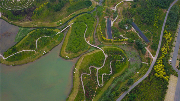 6月22日,俯瞰鹤壁市淇河湿地公园,河水碧绿,树木葱茏.