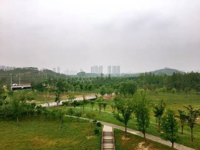 消夏散步好去处，郑州这四个不得不去的湿地公园（郑州比较好的湿地公园）