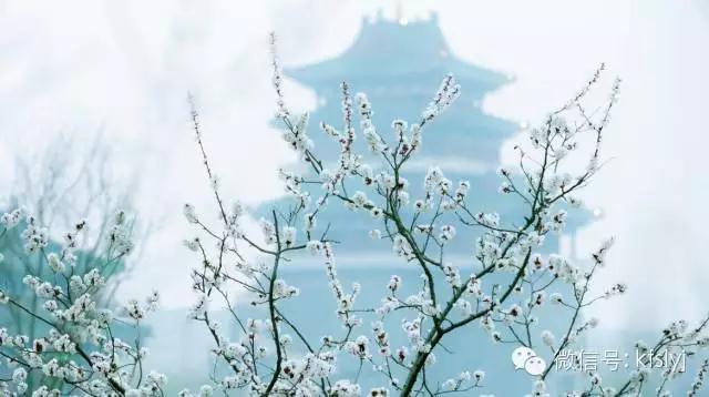 开封：一座不可被走马观花的千年古都（开封古景点）