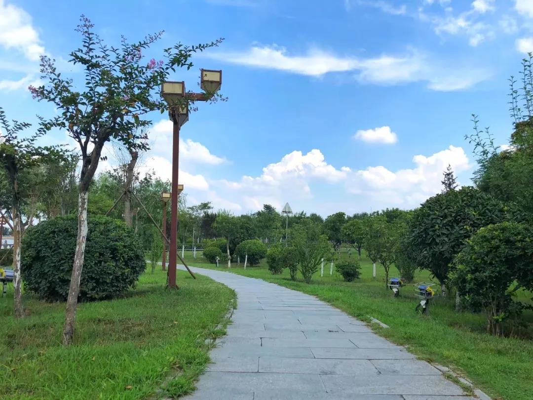 确认过眼神，这是开封最美的夏天（开封夏日游玩）