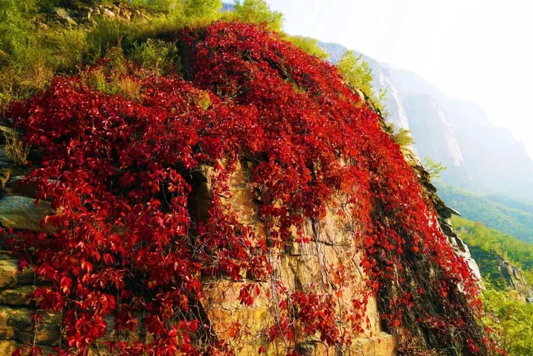 九月，来宝泉品太行秋趣（宝泉风景区适合几月玩）