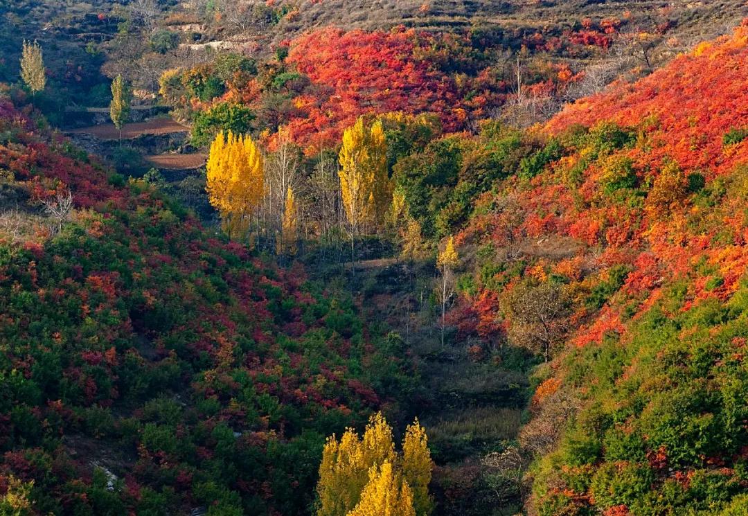 月圆中秋，大熊山邀你品秋韵，赏秋色，品秋趣（大熊山景点门票多少钱）
