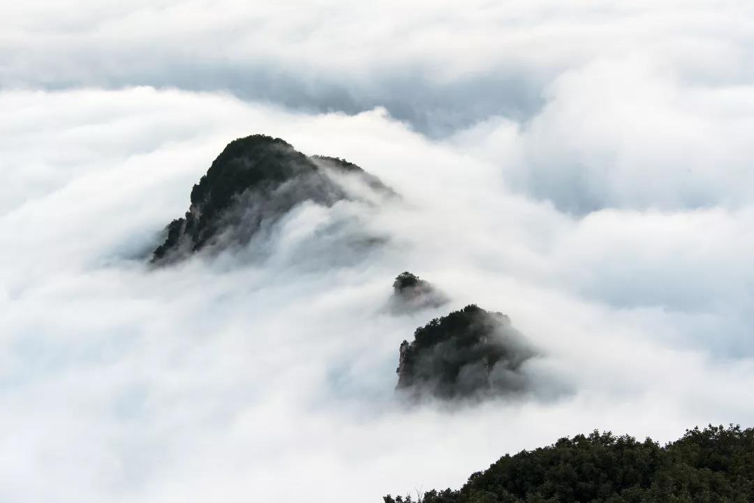 拒绝暗淡,王屋山邀您开启冬日色彩之旅!(王屋山景点讲解) 拒绝暗淡,王屋山邀您开启冬日色彩之旅!(王屋山景点讲解)