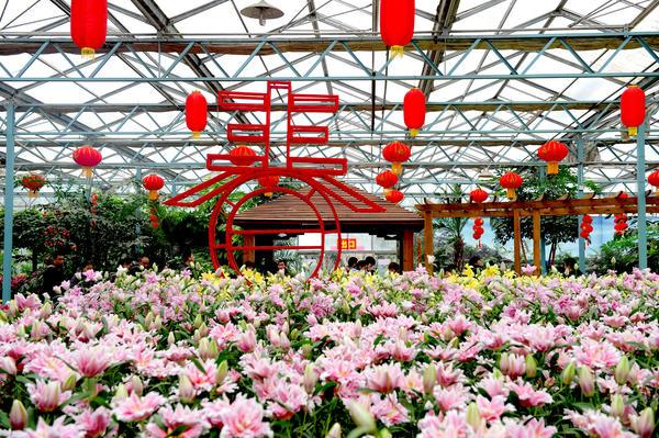 观民俗、赏花灯、看花展、品美食，绿博园传统文化盛典活动热闹迎新春！