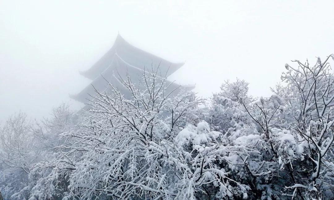 瑞雪纷飞西九华,水墨氤氲贺新年(瑞雪纷飞图片) 瑞雪纷飞西九华,水墨氤氲贺新年(瑞雪纷飞图片)