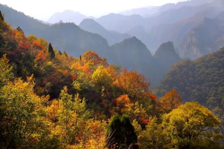 解锁云台山秋季十大心动瞬间，遇见小确幸！（云台山秋景）