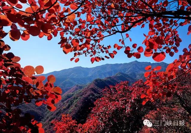三门峡红叶观赏地推荐，共享秋日胜景！（三门峡哪个公园风景美）