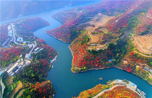 十一来“花都”怎么玩？这份攻略告诉你！（花都一日游攻略）