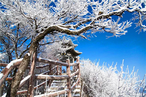 一组高清雪景图，带你走进银装素裹的老君山（老君山雪景持续多久）