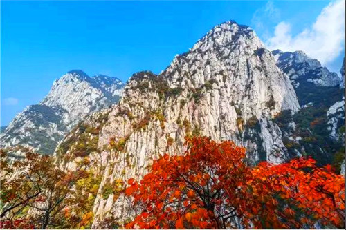 中国古文化的核心——嵩山文化圈（嵩山文化宣传语有哪些）