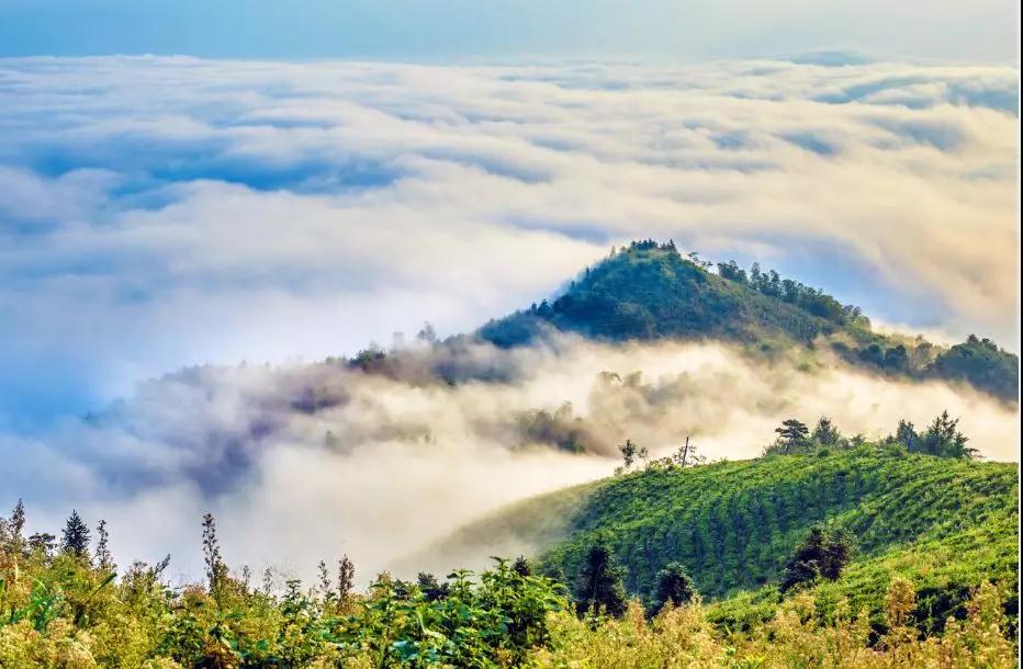 西九华:四季皆美景,春夏秋冬韵不同(西九华山旅游风景区攻略) 西九华:四季皆美景,春夏秋冬韵不同(西九华山旅游风景区攻略)