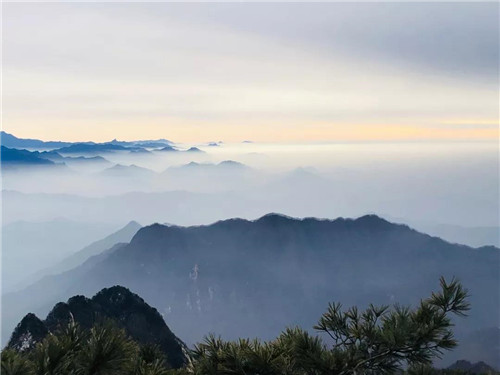 “微雨随云收，不知云海深”洛阳白云山再现云海奇观！