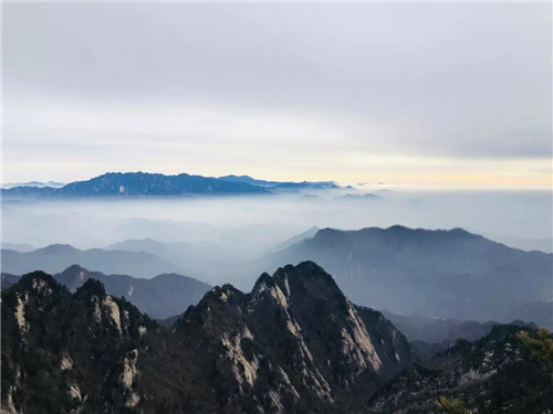 “微雨随云收，不知云海深”洛阳白云山再现云海奇观！