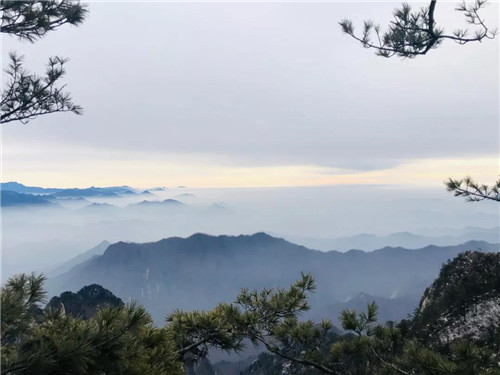 “微雨随云收，不知云海深”洛阳白云山再现云海奇观！