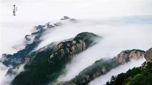 “微雨随云收，不知云海深”洛阳白云山再现云海奇观！