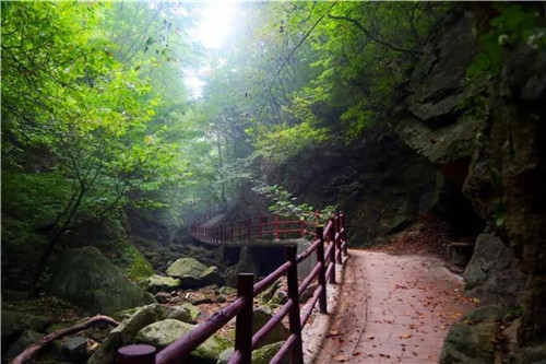 老君山：春暖时节，唯有美景不可辜