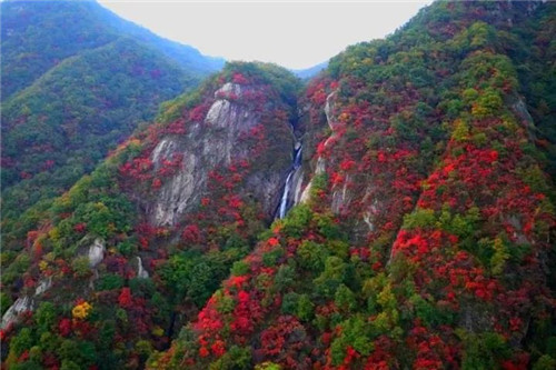 老君山：春暖时节，唯有美景不可辜