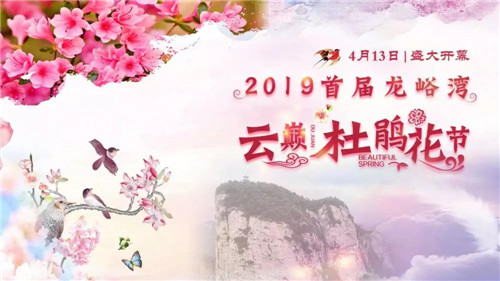 花舞人间四月天，龙峪湾首届云巅杜鹃花节绚丽来袭！