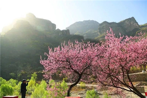 太行大峡谷“花开筝好 莫负琴音”活动成功举办