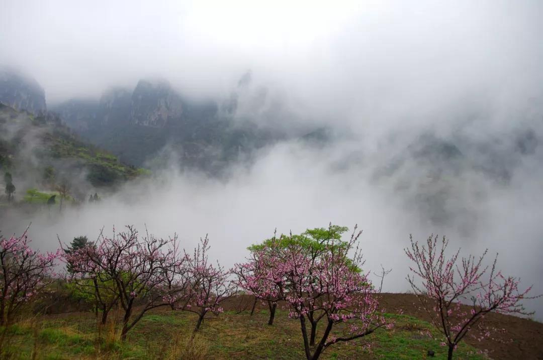 多情最是春雨生，人间仙境看新乡南太行！